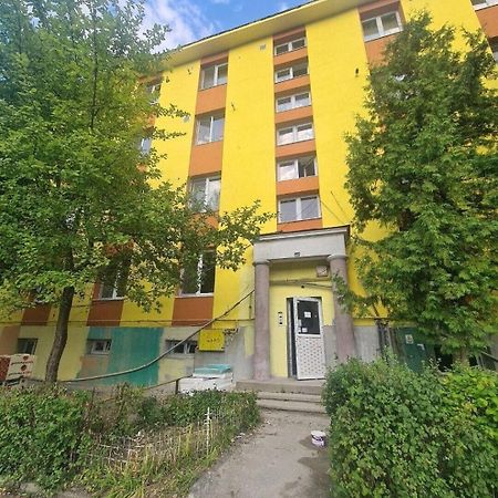 Mural Art Apartament Petroşani Esterno foto