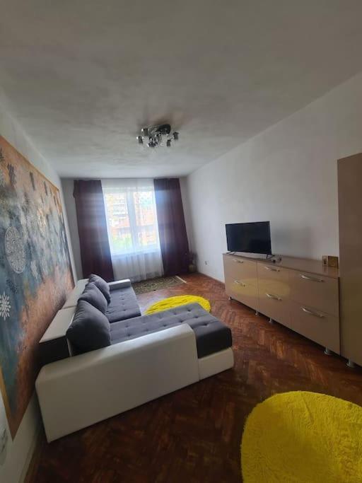 Mural Art Apartament Petroşani Esterno foto