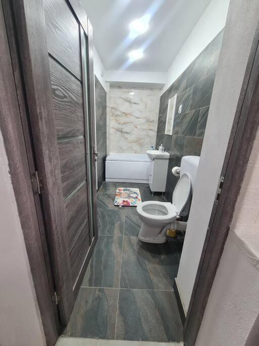 Mural Art Apartament Petroşani Esterno foto